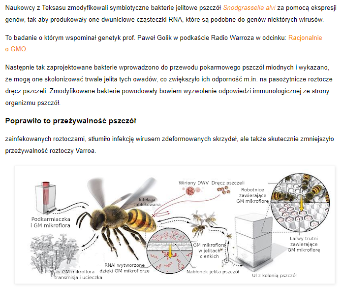 Wpis z portalu warroza.pl pt. Zmodyfikowane bakterie symbiotyczne wzmacniają odporność pszczół miodnych i ograniczają patogeny https://www.warroza.pl/2021/05/zmodyfikowane-bakterie-symbiotyczne.html?fbclid=IwAR0JaHLL0okWkFBBJL_BiqH75do6l3Btk0raN-qx5w5zrx5AIT3ZJyGL_-Q